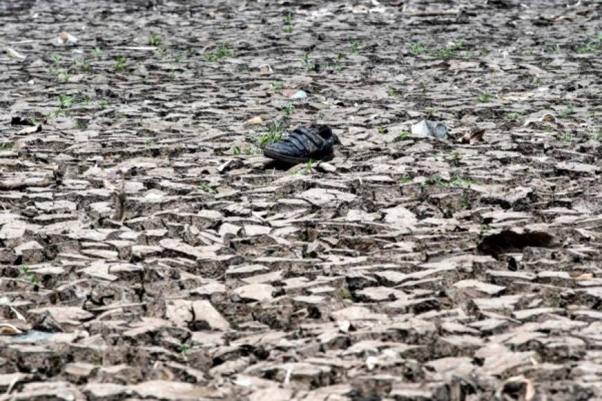Lo peor de la sequía está pronosticada de mayo a julio.