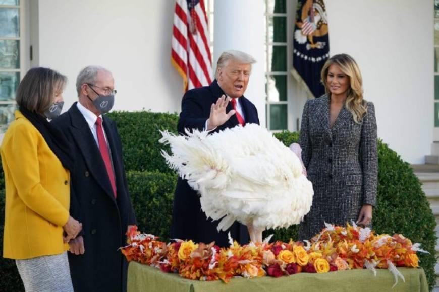 El presidente de Estados Unidos, Donald Trump, realizó este martes su última ceremonia del tradicional indulto anual del pavo -que se libró de acabar el jueves en la mesa de la cena de Acción de Gracias-, en el que puede que sea el primero de varios perdones por venir.