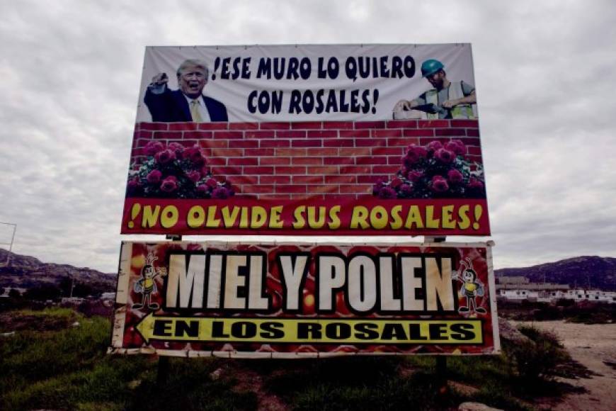 Una valla publicitaria utiliza la imagen del presidente Trump para promocionar productos en Tecate. 'Ese muro lo quiero con Rosales', se lee en la publicidad.
