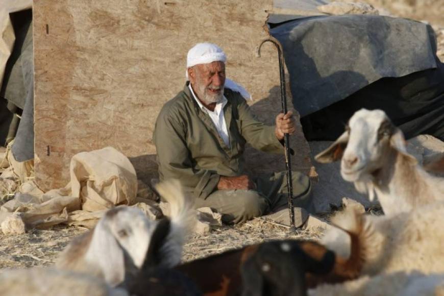El palestino Yousef al-Adraa reúne sus ovejas cerca de su casa en la aldea de Jinba, en Hebrón.
