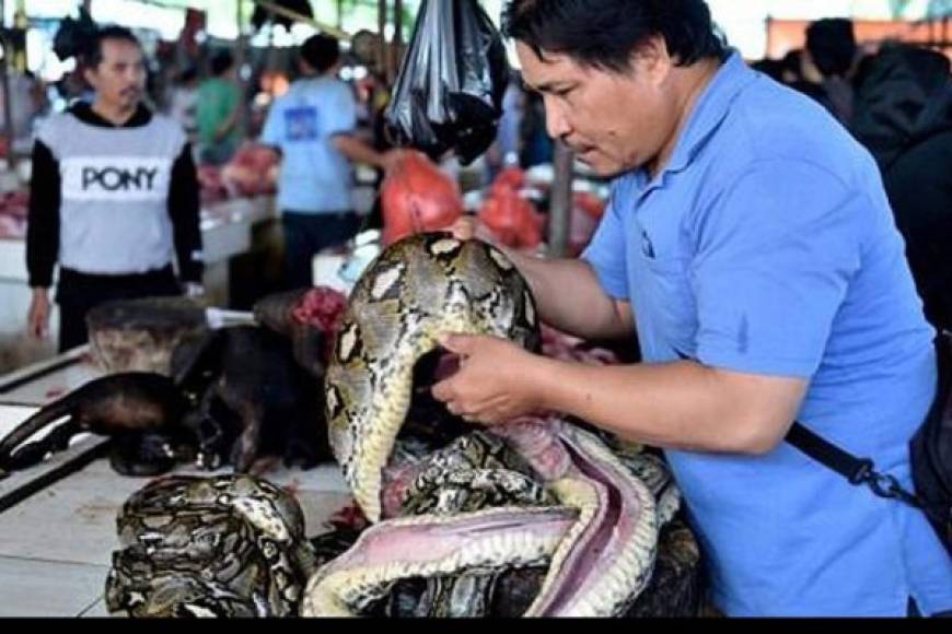 Las autoridades chinas de control de enfermedades identificaron a los animales silvestres que se vendían en el mercado de Wuhan como la génesis de la pandemia del coronavirus que deja más de 700,000 infectados en el mundo y ha asestado un duro golpe a la economía mundial.
