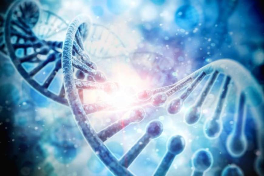 Avances biotecnológicos<br/><br/>El avance de la ciencia dará paso a grandes descubrimientos en curas de enfermedades que aquejaron a la humanidad por años.
