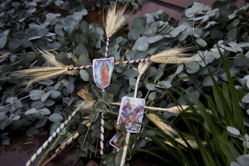 Las palmas dieron la bienvenida a la Semana Santa para conmemorar el sacrificio de Jesús de Nazaret.