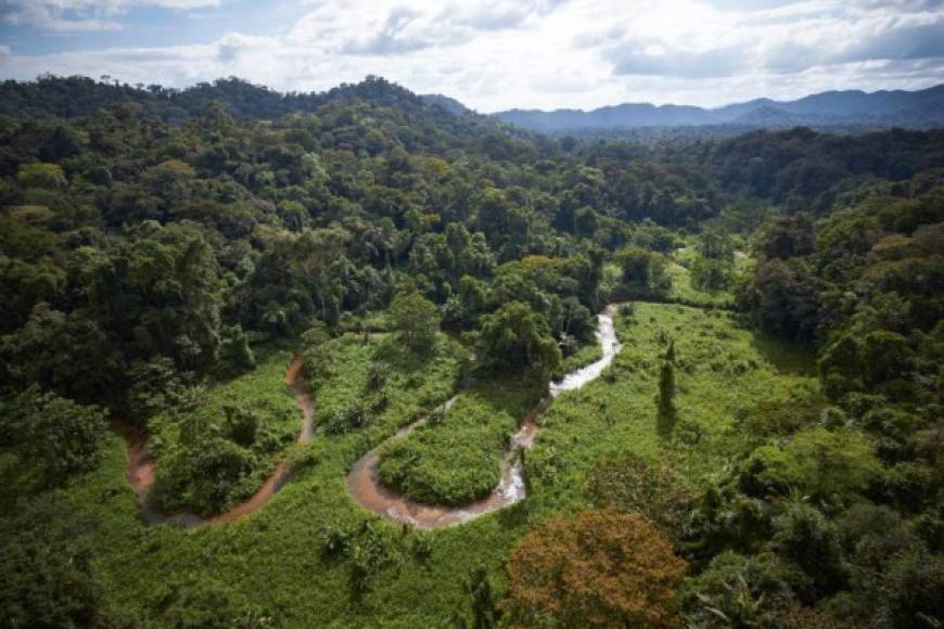 Parte de un valle inexplorado en La Mosquitia de Honduras. Foto National Geographic.