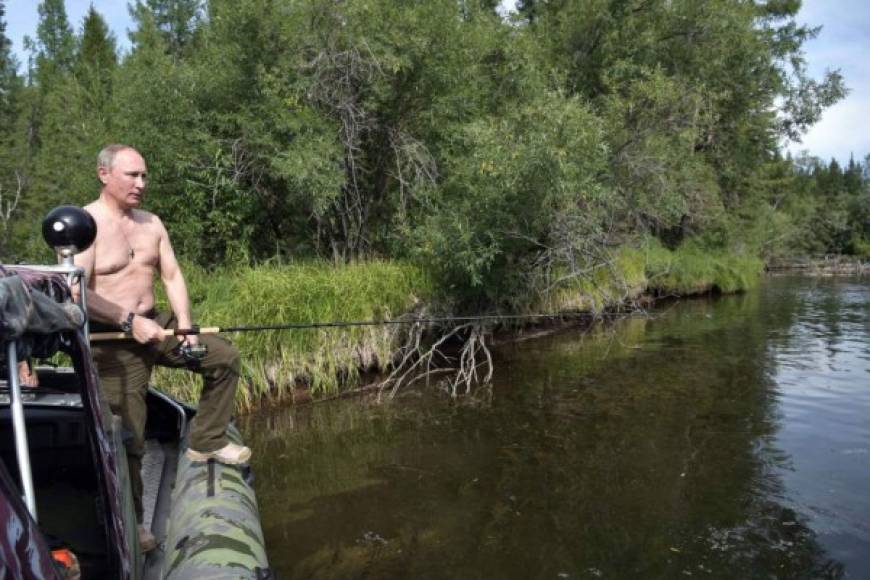 Amante de la naturaleza, Putin aprovecha sus vacaciones para escaparse a los bosques de Siberia, donde además de relajarse participa en distintos programas de conservación.