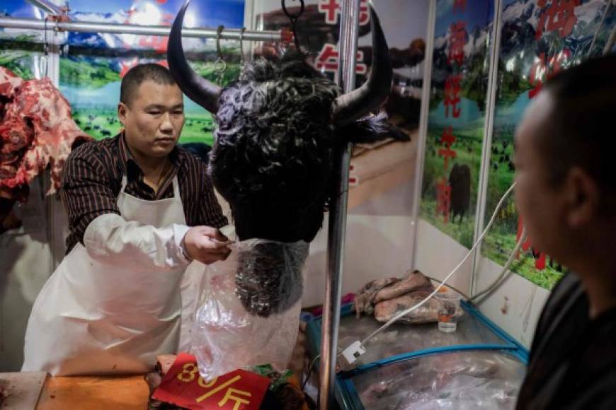 Mercados como este son el destino final de lo que los conservacionistas denuncian como el dramático comercio de animales silvestres propulsado por el consumo chino.