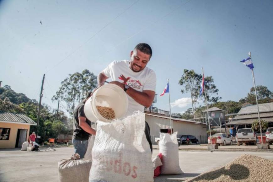 Ney Costa: En los útimos años se ha dedicado a cultivar café en Copán.<br/>