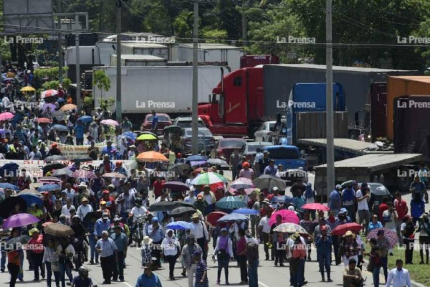Manifestantes en la ciudad de San Pedro Sula a encontrarse con otro grupo nutrido de manifestantes.