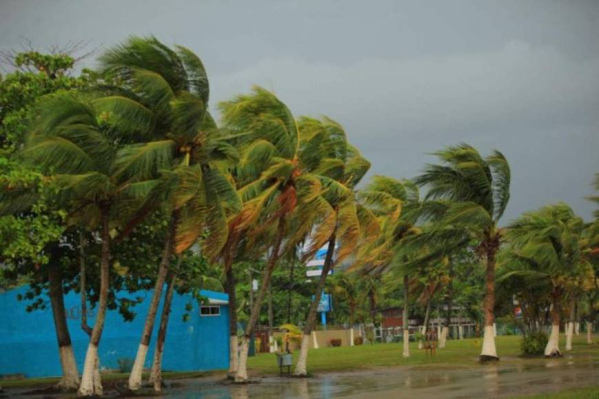 Una cuña de alta y formación de una nueva baja presión en el Caribe de Honduras generará bastante nubosidad y lluvias sobre el atlántico con mayor intensidad en las regiones insular, norte, sur y noroccidente.<br/>