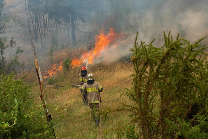  Boric, que el viernes suspendió sus vacaciones estivales para visitar la ciudad de Concepción, 510 km al sur de Santiago, dijo en Twitter que seguía trabajando “para enfrentar los incendios forestales y apoyar a las familias”.