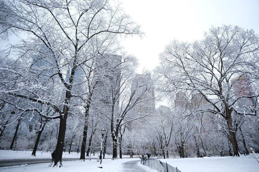 El municipio de Hampton, en Nueva Jersey, acumuló 33 centímetros de nieve, mientras Chester, al norte del estado de Nueva York, recibió unos 30 centímetros, según los meteorólogos. Foto: Yoseph Amaya/DIARIO LA PRENSA