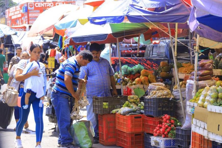 En los últimos dos años ha crecido exponencialmente el número de puestos de verduras sobre todo en la zona conocida como Maheco.
