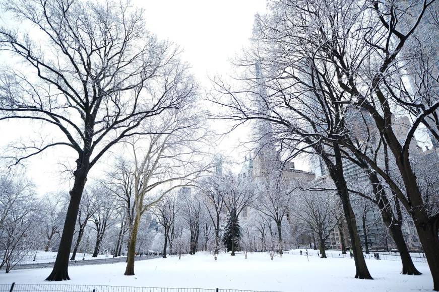 Adams publicó un vídeo en su cuenta de X en el que mostraba una calle de Queens teñida de blanco y sin automóviles, después de que el Departamento de Gestión de Emergencias de Nueva York avisara este lunes de que la nieve produciría dificultades para viajar debido a una visibilidad limitada. Foto: Yoseph Amaya/DIARIO LA PRENSA