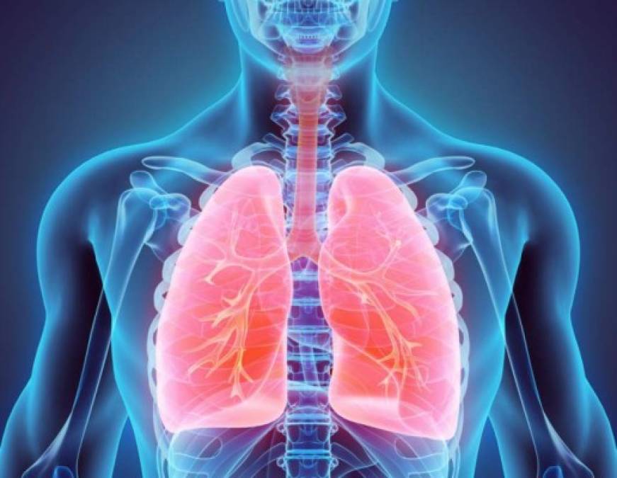 Generalmente tenemos dos pulmones, pero solo uno es necesario para darle oxígeno a la sangre. <br/><br/>Si todo el pulmón o una parte de él debe ser removido, el pulmón que queda tiene la habilidad de expandirse para cubrir el trabajo del anterior. Aunque una persona con un solo pulmón puede tener más problemas para respirar, y puede no ser recomendable que haga ejercicio intenso, si puede vivir sin él.