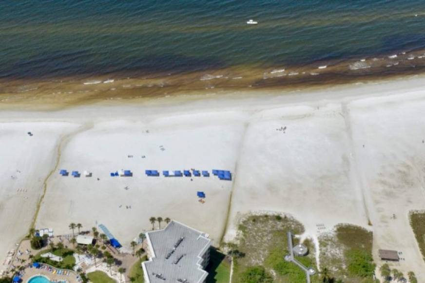 Las playas del sur de Florida permanecen desoladas debido a la aparición de la intensa marea roja.
