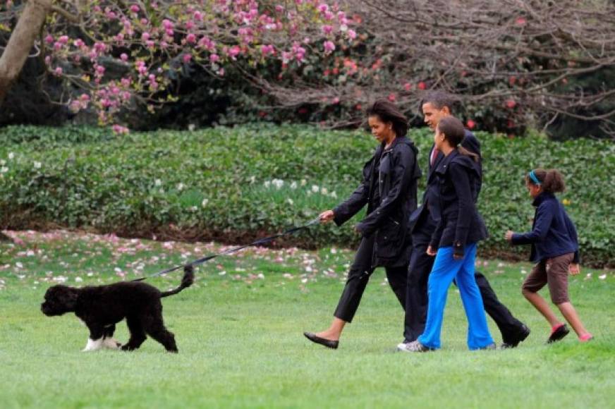 En la historia de EE.UU., la mayoría de las familias presidenciales han contado con la compañía de una mascota en la Casa Blanca.