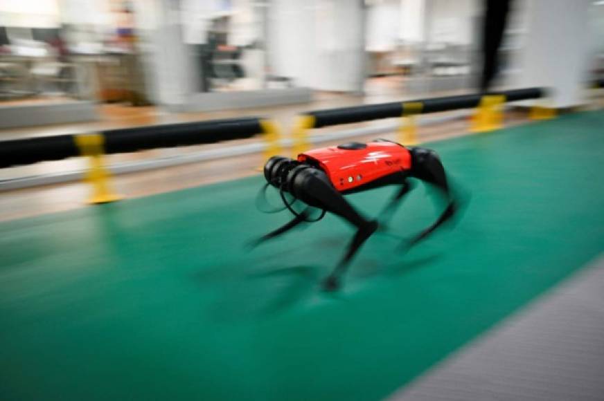 - Perro lazarillo o empleado en una fábrica -<br/><br/>Ma Jie estudió en la universidad de Oxford el aprendizaje reforzado, una tecnica derivada de la psicología conductista y que permite 'entrenar' la inteligencia artificial que controla un robor mediante recompensas o castigos, tal como en el adiestramiento de perros.