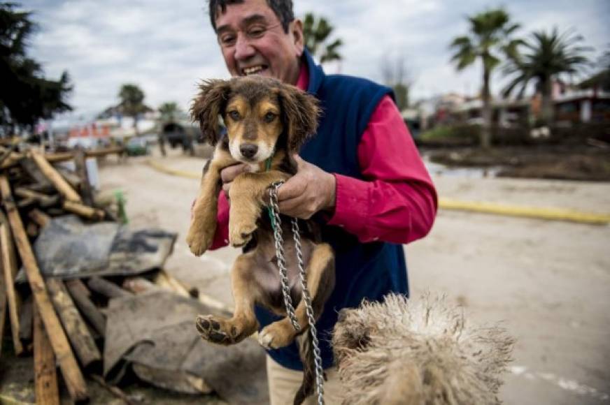 Los residentes que evacuaron encontraron a sus mascotas tras regresar a sus hogares.