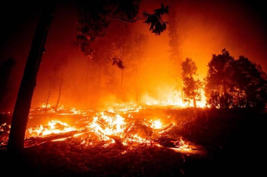 Foto: La Prensa