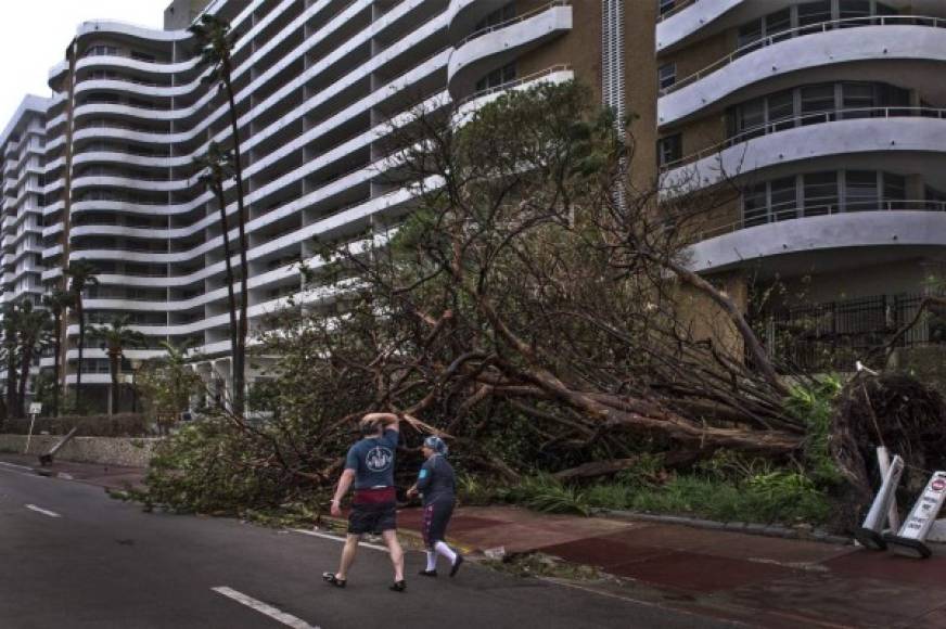 Varios árboles fueron arrancados de raíz durante el paso del huracán Irma por Miami Beach.