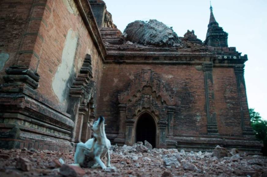 Un terremoto de 6,8 grados de magnitud sacudió el pasado miércoles la zona central de Myanmar, ocasionando la muerte de tres personas y dejando serias afectaciones en 185 templos y pagodas budistas de la antigua ciudad de Bagan.