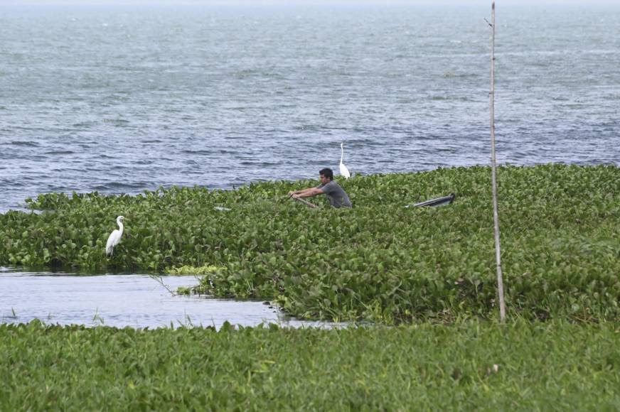 La Unión Europea y el Banco Centroamericano de Integración Económica (BCIE) desarrollan un estudio para la “recuperación sostenible” del lago de 79 kilómetros de superficie. Este semana, representantes de la UE visitaron la zona para conocer los problemas ambientales.