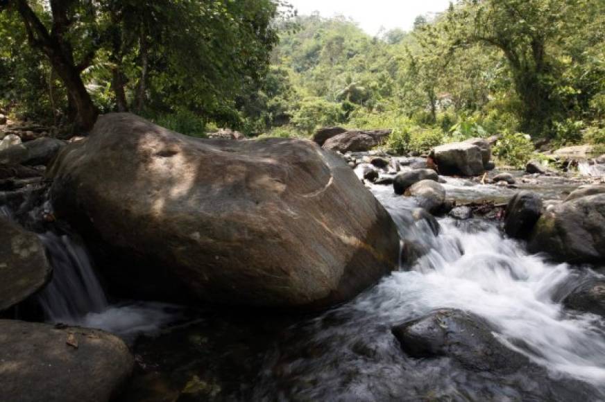 Los ríos abastecen algunas represas de San Pedro Sula.
