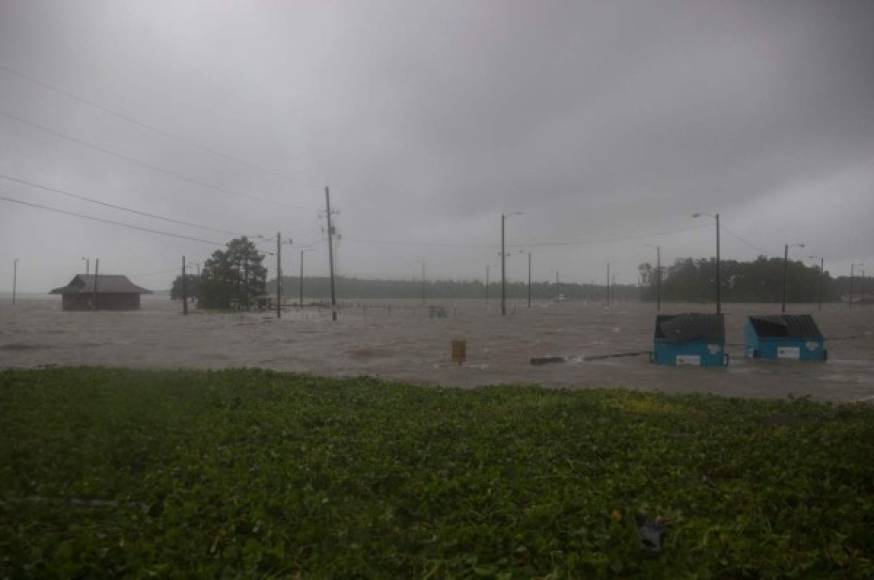 El río Atchafalaya también llegó al área peatonal de la costa en Morgan City.