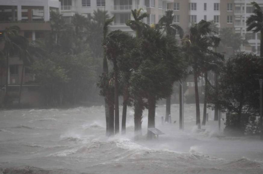 'Está inundado por la marejada que pasa por encima de las barreras del mar', contó a la AFP Steven Schlacknam, un artista visual de 51 años, que se resguarda de la tormenta en un apartamento con vista al mar. 'El muelle de madera prácticamente desapareció'.