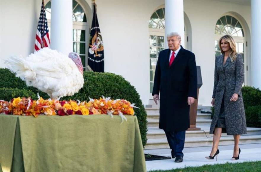Trump apareció de buen ánimo en el Rose Garden de la Casa Blanca, donde unas cien personas se congregaron para presenciar el tradicional perdón a un pavo llamado Corn.