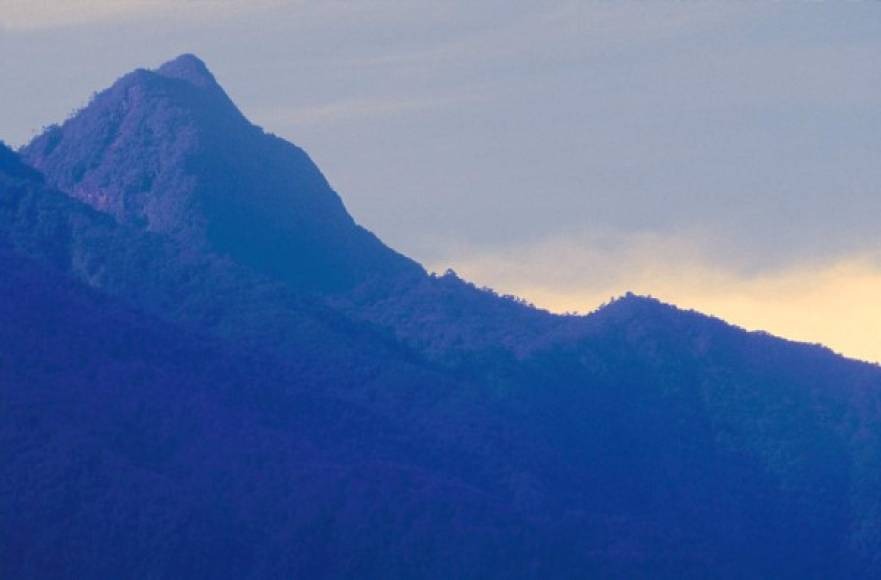 El Parque Nacional Pico Bonito, constituye una de las áreas protegidas mejor conservadas de Honduras. Fue creada bajo el decreto Ley del Congreso Nacional de la República 87–87, mejor conocida como “Ley de Protección de Los Bosques Nublados de Honduras”, el 5 de agosto de 1993.