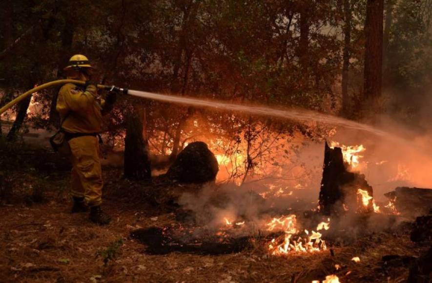 Los bomberos despejaron maleza alrededor del bosque Grant y prendieron fuegos controlados para evitar que las llamas del incendio mayor tengan material combustible.