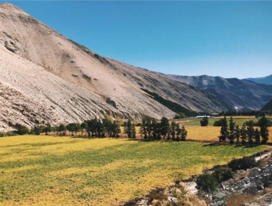 La 'Eclipsemanía y las noches de cielos oscuros' son los dos elementos elegidos por el NYT para destacar el valle del Elqui (Chile), en el puesto 51 de los lugares que visitar en este 2019.<br/>