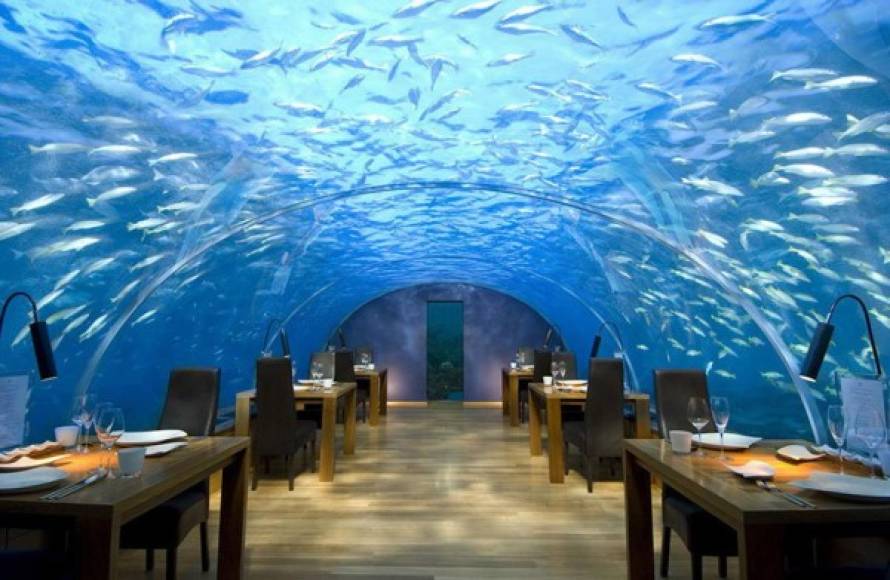 Ithaca Undersea es un restaurante submarino ubicado en Hilton Maldives Resort & Spa en Rangalifinolhu, Maldivas.Cientos de peces observan a los visitantes mientras estos últimos degustan de los platillos que ofrece el lugar.Foto:peplum.com