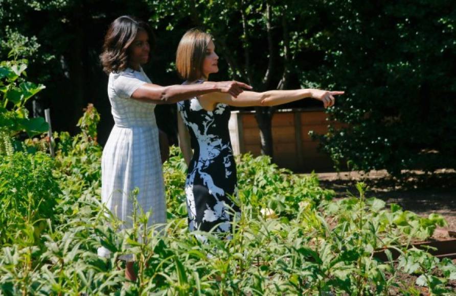 Michelle Obama le mostró a Letizia los jardines ecológicos que ha plantado en la Casa Blanca.