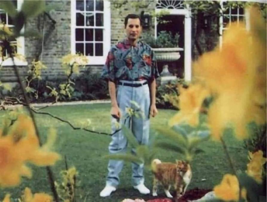 Las fotografías muestran a la leyenda de Queen sonriendo semanas antes de morir, Mercury aparece en uno de sus sitios preferidos, el jardín Garden Lodge en 1 Logan Place en Kensington, Londres.<br/>