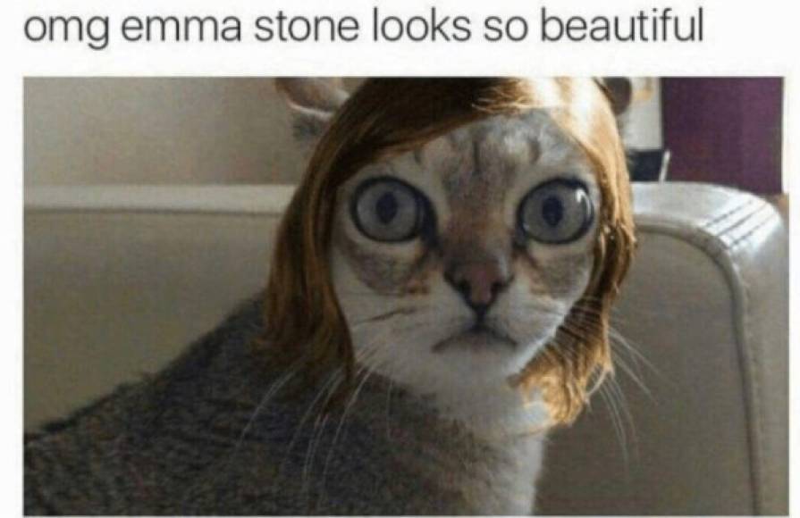 Las facciones de Emma Stone fueron comparadas con un gato.