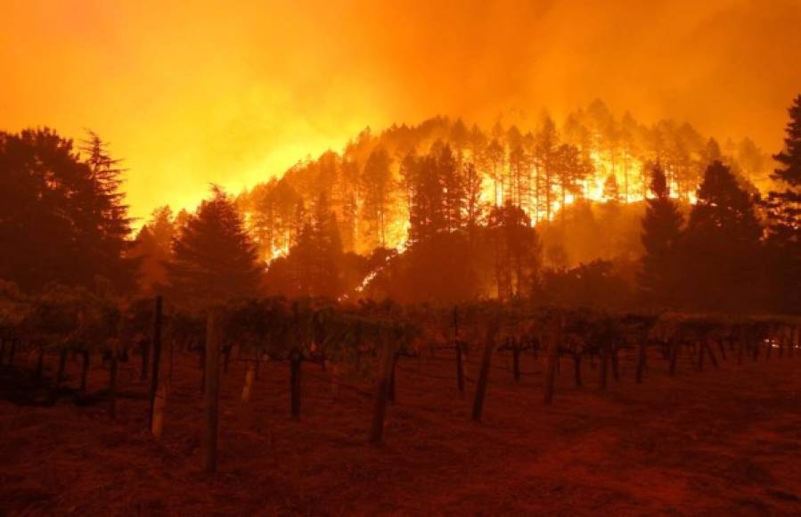 A esa misma hora la Oficina de Servicios de Emergencia del Condado Napa emitió una orden de evacuación para el área al norte del Parque Estatal Bothe hasta la Ruta Diamond Mountain, y alertó que está cerrado el paso en la Autopista 29 entre la Avenida Lincoln y la ruta Deer Park.