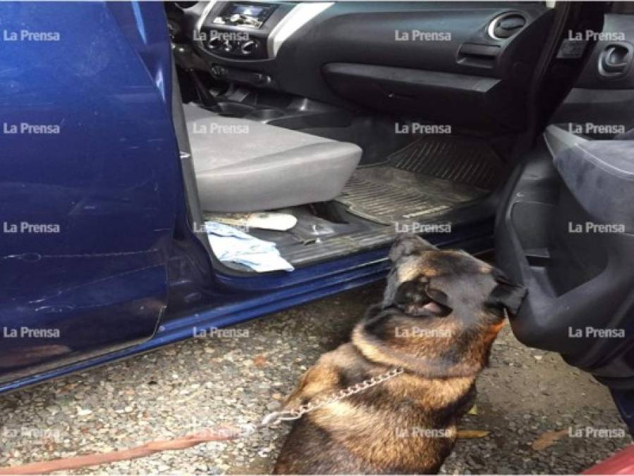 Los agentes utilizaron varios perros antidrogas. Cabe señalar que desde ayer se inició esta operación en contra de este sitio.