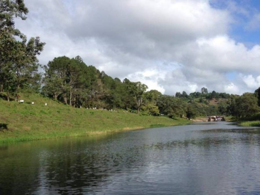 Los competidores a lo largo del canal de Peña Blanca, Cortés.