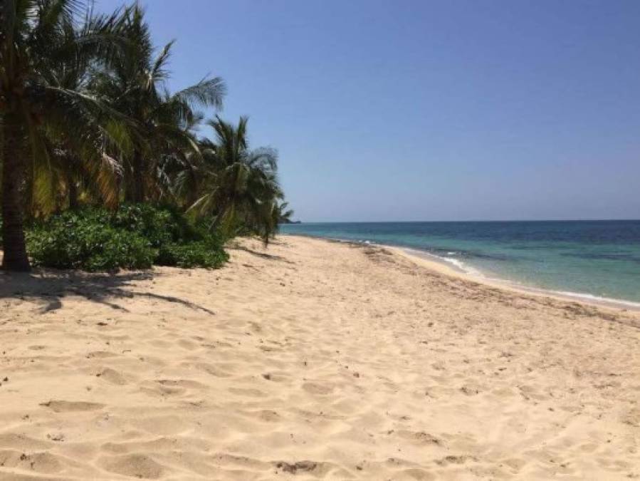 Las playas de Roatán son de las más bellas del mundo.