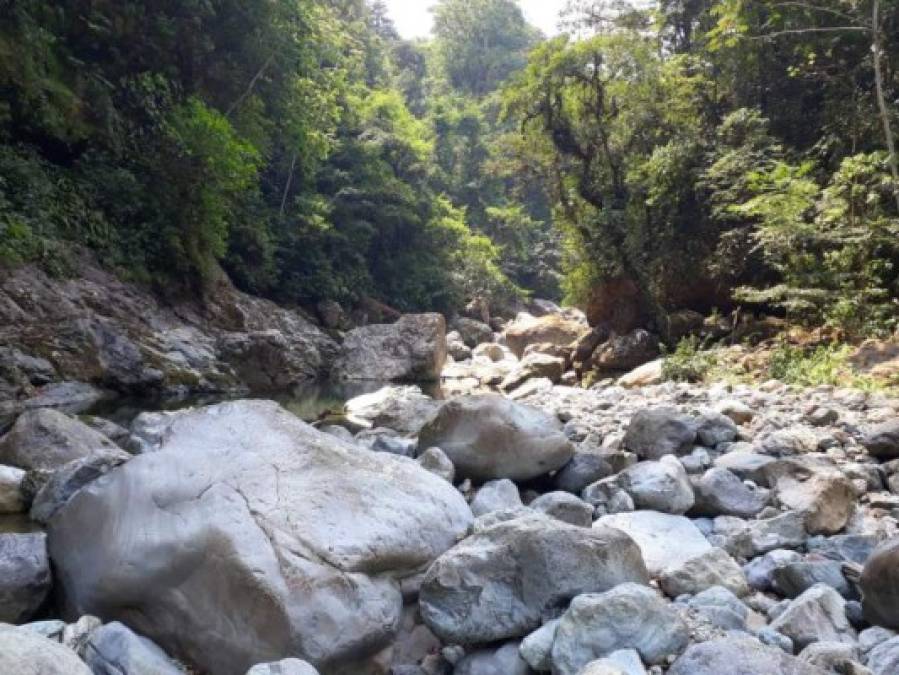 Los ríos de la zona atlántica de Honduras, también viven momentos críticos en sus afluentes, muchos caudales lucen secos, lo que preocupa a sus ciudadanos. También islas como Utila viven un racionamiento por desabastecimiento de sus pozos de agua dulce.