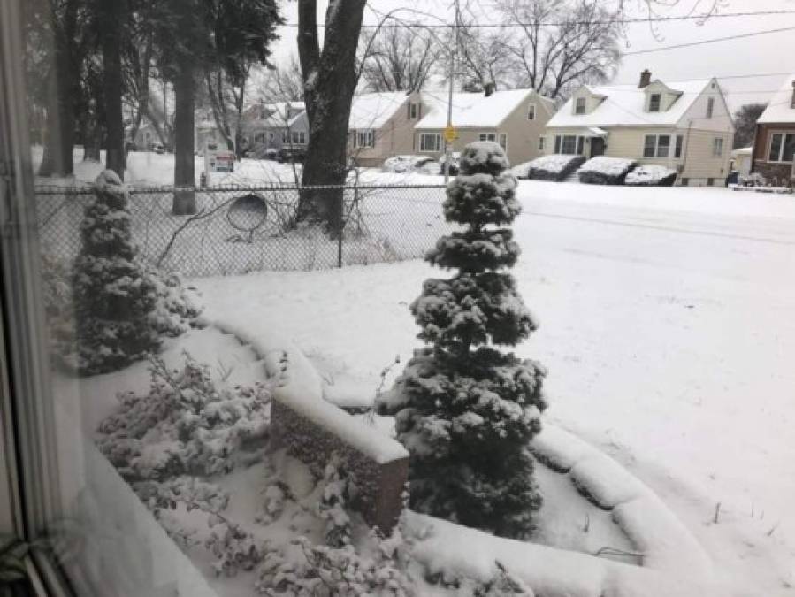 La tormenta, que dejó nevadas de hasta 1,8 metros y fuertes lluvias en zonas montañosas de California la semana pasada, se desplazó luego hacia el medio-oeste, afectando especialmente a Chicago, que registró unos 20 cm de nieve.<br/><br/>Andrea Hidalgo compartió esta imagen de la fuerte nevada en Chicago.<br/>