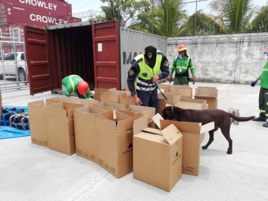 Honduras se ha convertido en un corredor del narcotráfico. Casi a diario realizan capturas o hacen decomiso de fuertes cantidades de droga. Hoy un buque que llegó a Puerto Cortés procedente de Panamá traía 160 kilos de cocaína.