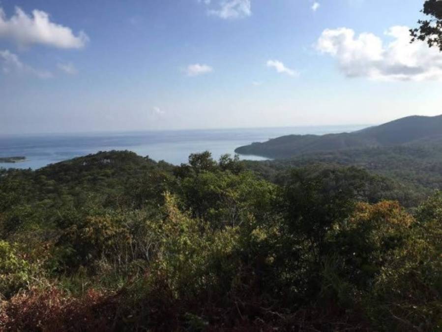 La pareja le encanta compartir las bellezas de Roatán.