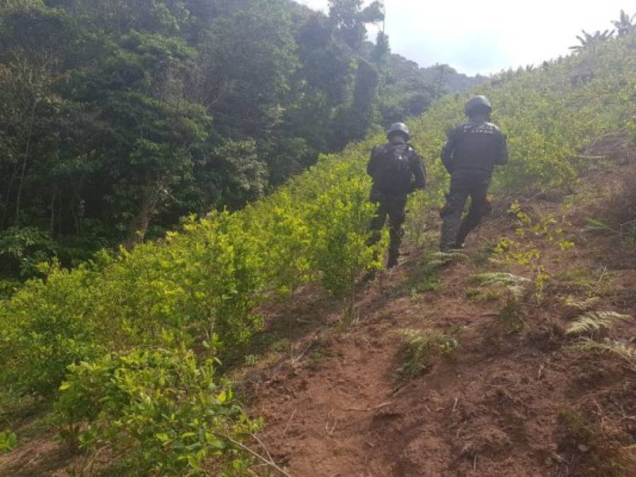 En el lugar se encontró un narcolaboratorio artesanal para el procesamiento de la hoja de coca.