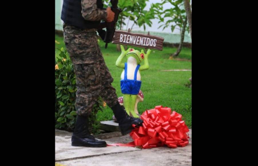 Una rana en la entrada de una de las residencias de los hermanos Valle.