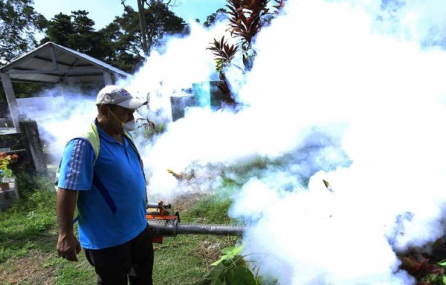 12. Alarma por incremento de casos de dengue.<br/><br/>Tras mantenerse durante nueve meses en zona de éxito, los casos de dengue en la ciudad se incrementaron en el último trimestre de 2018, lo que representó alarma en las autoridades de Salud que intensificaron los operativos de limpieza, fumigación y abatización en las viviendas. <br/><br/>Las autoridades de Salud piden a los ciudadanos eliminar los criaderos de zancudos a fin de evitar que aumenten las personas enfermas por dengue. El personal de la Mesa Intersectorial de Salud fumigó durante este año más de 20,000 viviendas en los barrios y colonias de la ciudad.