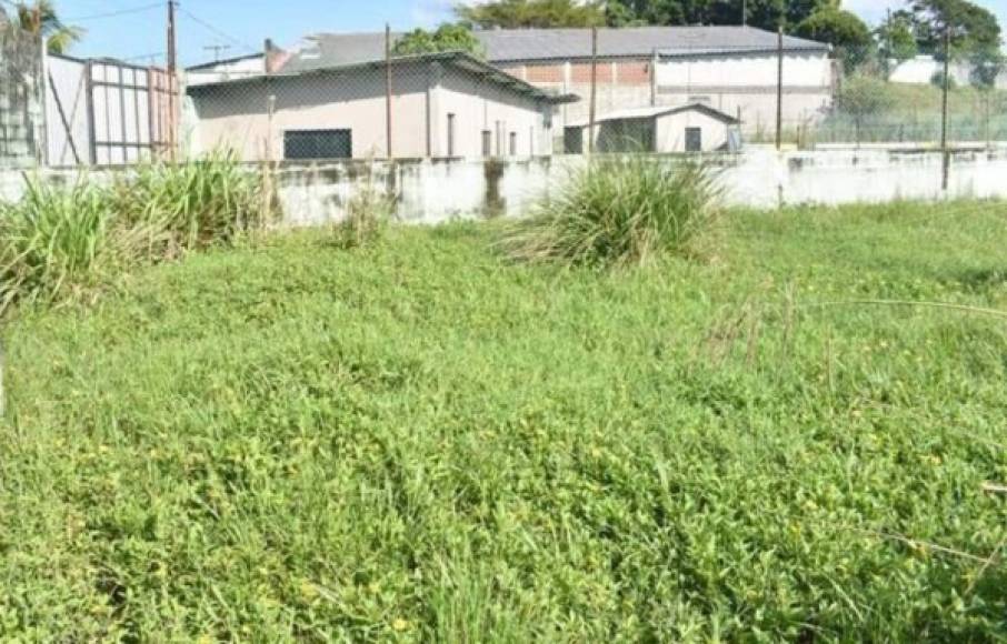 Actualmente este estadio es la casa del Tela FC de la Liga de Ascenso de Honduras.