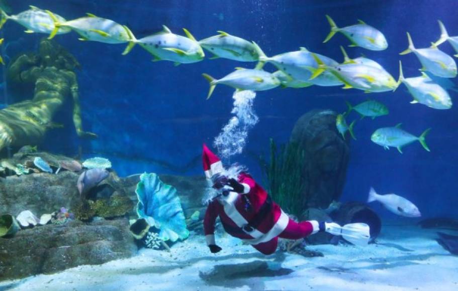 Australia. <br/>San Nicolás bajo el agua. Buceador disfrazado de Papá Noel saluda desde uno de los tanques del Sea Life Melbourne Aquarium en Melbourne.